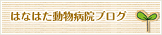 はなはた動物病院のブログ